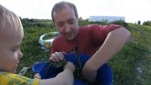 СУРОВЫЙ ЧЕЛЯБИНСКИЙ ИЗМЕЛЬЧИТЕЛЬ || ТЕСТИРУЕМ ПО ПОЛНОЙ || ФЕРМЕР.РФ