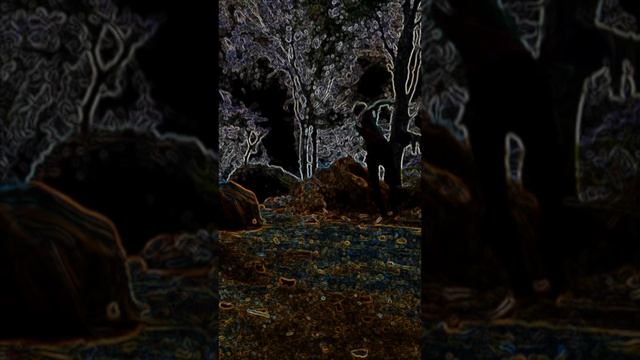 #yoga kung-fu kalari practice смотреть онлайн