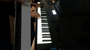 casio wk 6600