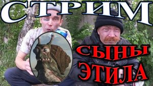 War Thunder. Стрим. Новые БР.Лучше или хуже? #warthunder #вартандер #танки