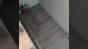 Линолеум Tarkett и Ideal