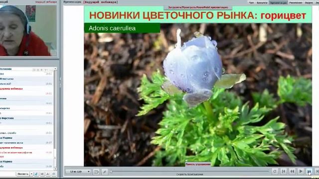 Вебинар Татьяны Шаповал «Новинки цветочного рынка», часть 1