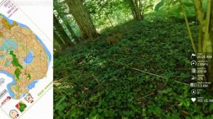 Спортивное ориентирование (headcam orienteering) - Приз Пржевальского 2022, длинная - 23.07.22