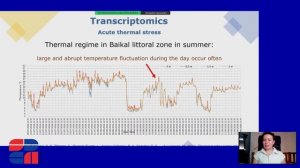 Д. С. Бедулина – Раскрытие молекулярных механизмов адаптации эндемиков Байкала. «Диалоги о геномике