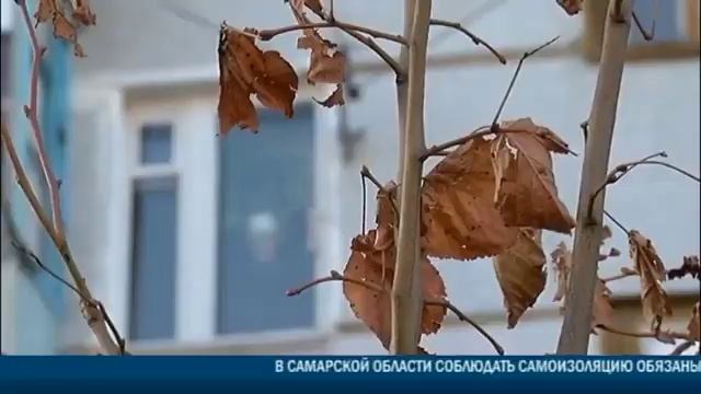 В этом году в Сызрани благоустроено 7 дворовых территорий