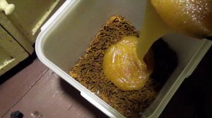 Переработка пчелиной перги на мясорубке без предварительной сушки