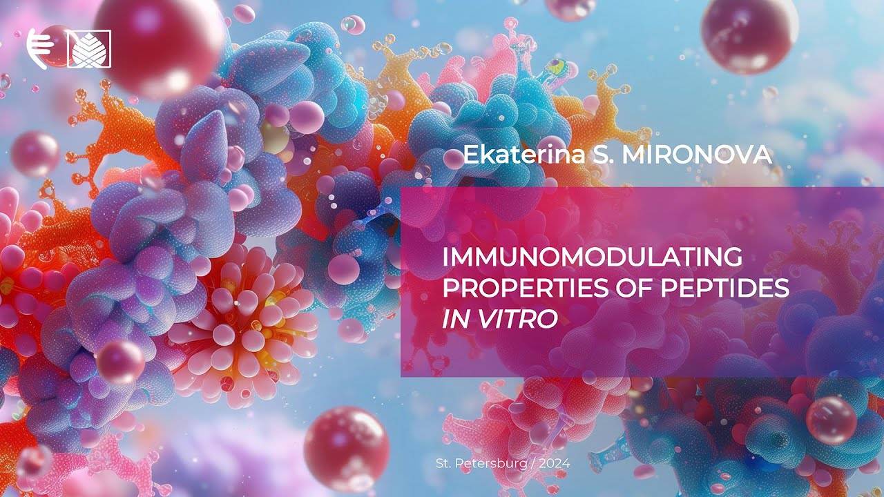 Immunomodulating properties of peptides IN VITRO