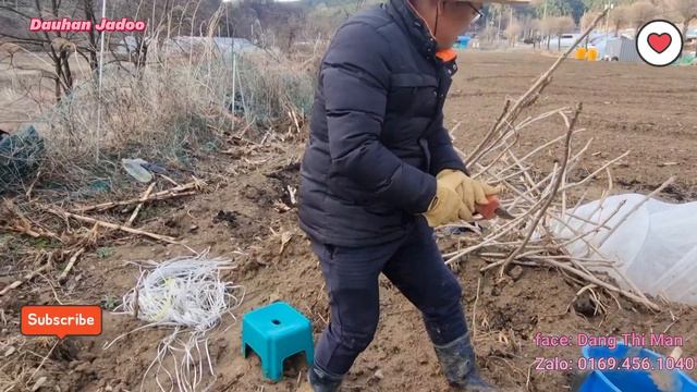 Chồng Hàn làm đất trồng Rau mà như cấy lúa ~ Bày việc cho Vợ đây mà смотреть онлайн