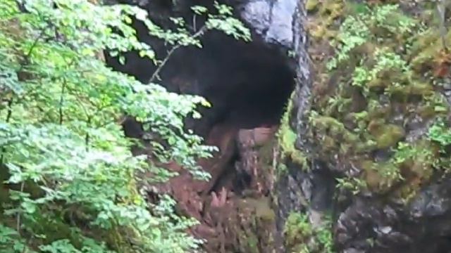 ПРИРОДНЫЙ ПАРК ОЛЕНЬИ РУЧЬИ2017#БОЛЬШОЙ ПРОВАЛ#14#NATURAL PARK DEER STREAMS#BIG CHASM