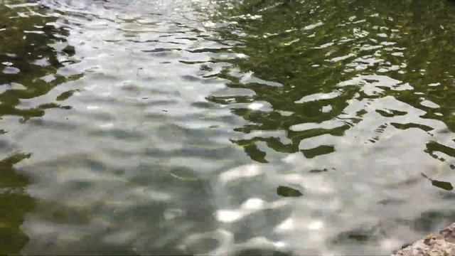 An der Pegnitzquelle (at the source of the Pegnitz River) смотреть онлайн