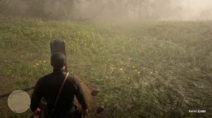 Red dead redemption 2 Могила Кирана