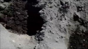 КАК ИЗБАВИТСЯ ОТ ПРОВОЛОЧНИКА И СОБРАТЬ ХОРОШИЙ УРОЖАЙ КАРТОШКИ !