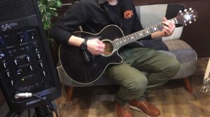 Takamine 1984 PT-118【78095】