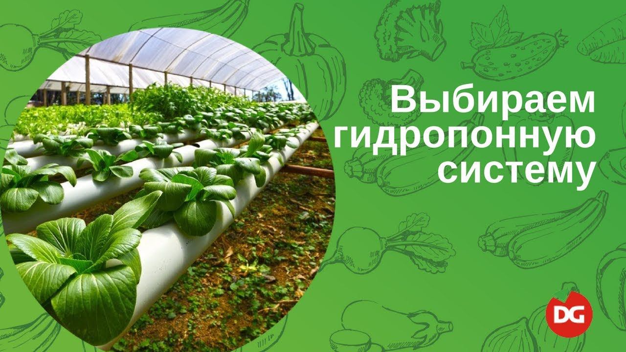 4 Как выбрать гидропонную систему