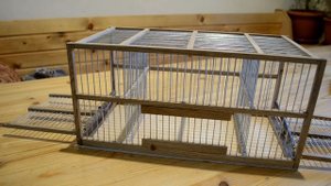 Западок для ловли певчих птиц. Birds trap.