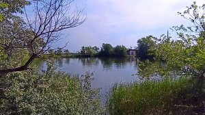 Магнитогорск, лесопарковая зона, озеро Насосное, улица Зелёная (30.06.2021)