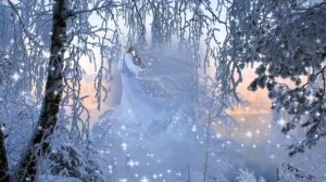 Футаж Метель Snowstorm HD