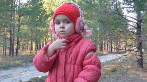 В лесу собираем грибы