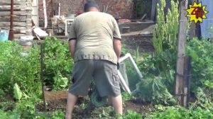 Арам-Зам-Зам или В Гостях У Коляныча))