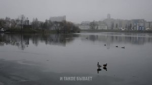 РАЗОК НЕ ТУДА И ЕЁ УЖЕ БЫЛО НЕ ОСТАНОВИТЬ. Реальная история из жизни людей. Аудио рассказ