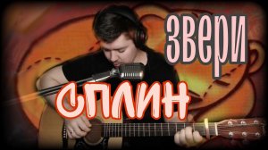 Сплин - Звери (cover by Свой Своим) @spleanmasterskaya