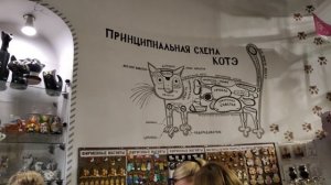 Музей кошек в Зеленоградске