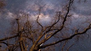 AMORPHIS - Amongst Stars (Lyrics)