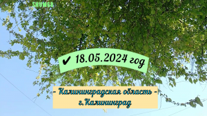 ✔ Калининградская область., г.Калининград, 18.05.2024 год