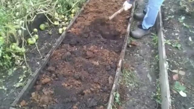 Убираем помидоры, собираем червяков смотреть онлайн