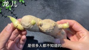 陈醋泡枸杞，没想到作用真厉害，帮助了很多中老年人，省钱又实用【百變小廚坊】#枸杞養生 #陈醋枸杞 #wolfberry