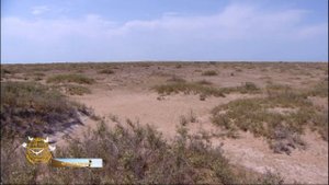 Остров Огурджалы. Каспийское море. Туркменистан / Ogurjaly Island. Caspian Sea. Turkmenistan