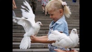 "Голубь мира "