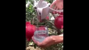 Сок из граната