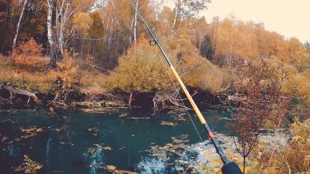 Рыбалка без напряга или осенний мормодрочь.