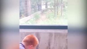 Смешные дети и животные в зоопарке - Смешные детские фейлы