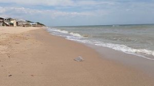 Моя поездка в Мелекино. Азовское море. My travel in Melekino. Azov sea.