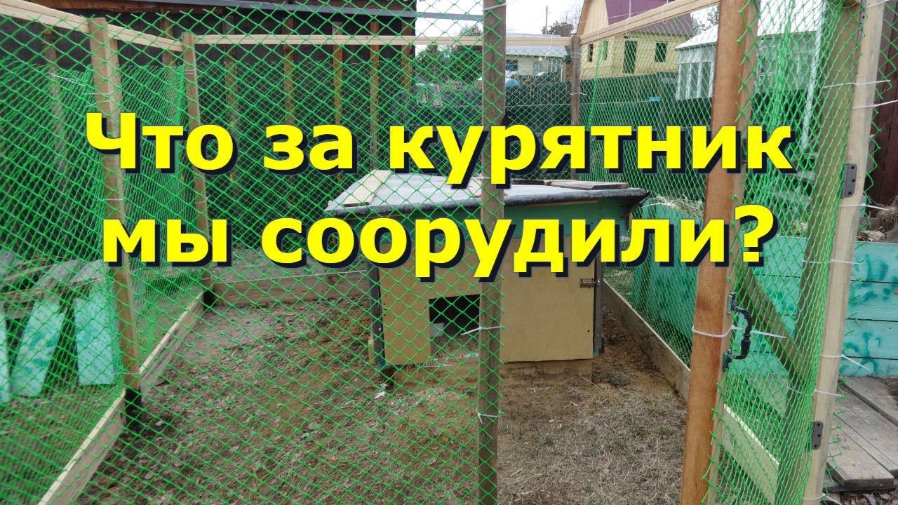 Мой маленький бюджетный курятник. Немного собаки. Посылка.