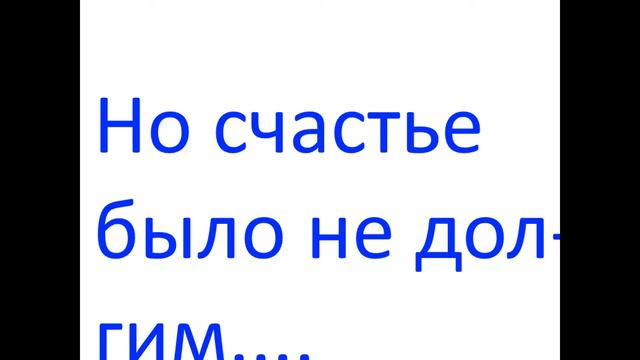 История о 2 влюблённых(котов) смотреть онлайн