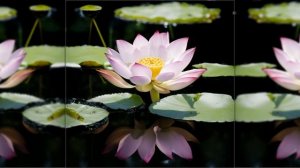 Красивая Музыка, Избавление От Депрессии