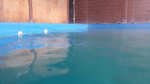 Горячие источники Бурятии 2024