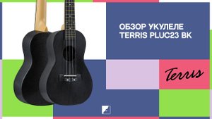 Обзор укулеле концерт TERRIS PLUC23 BK