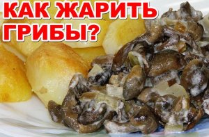 Как пожарить грибы.Как пожарить грибы на сковороде.