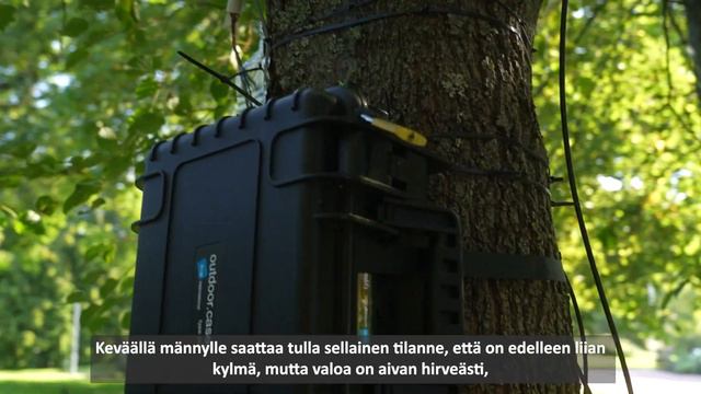 TUTKIJAT TYÖSSÄÄN – SUOMEN LUONNON PÄIVÄ смотреть онлайн