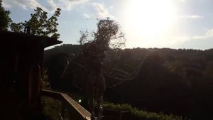 Сказочная фея из стальной проволоки