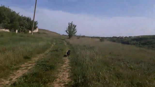 Поехала путешествовать в Волчий Грот в Крыму. Поездка была замечательная смотреть онлайн