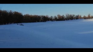 20 02 2022. Снегоход Ирбис Тунгус 600. Покатушки.