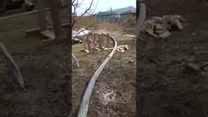 Прокачка бетона стационарным бетононасосом