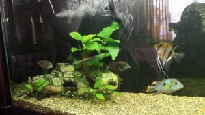 Фильтр FLUVAL FX6