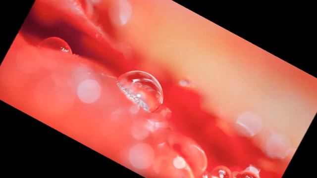 Капля смотреть онлайн