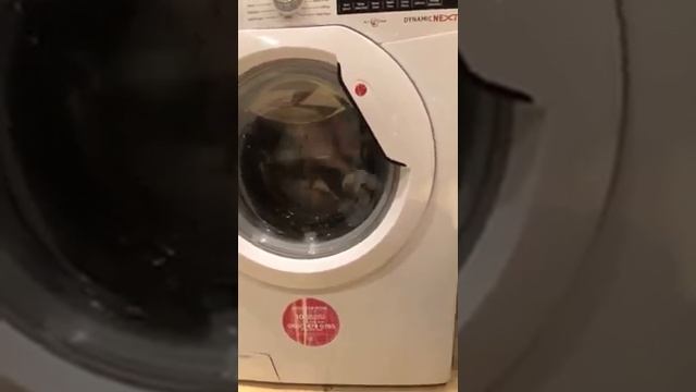 Hoover Dynamic Next WDXA496A2 Washer Dryer (Mixed) смотреть онлайн